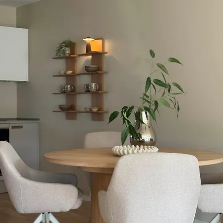Modern And Stylish